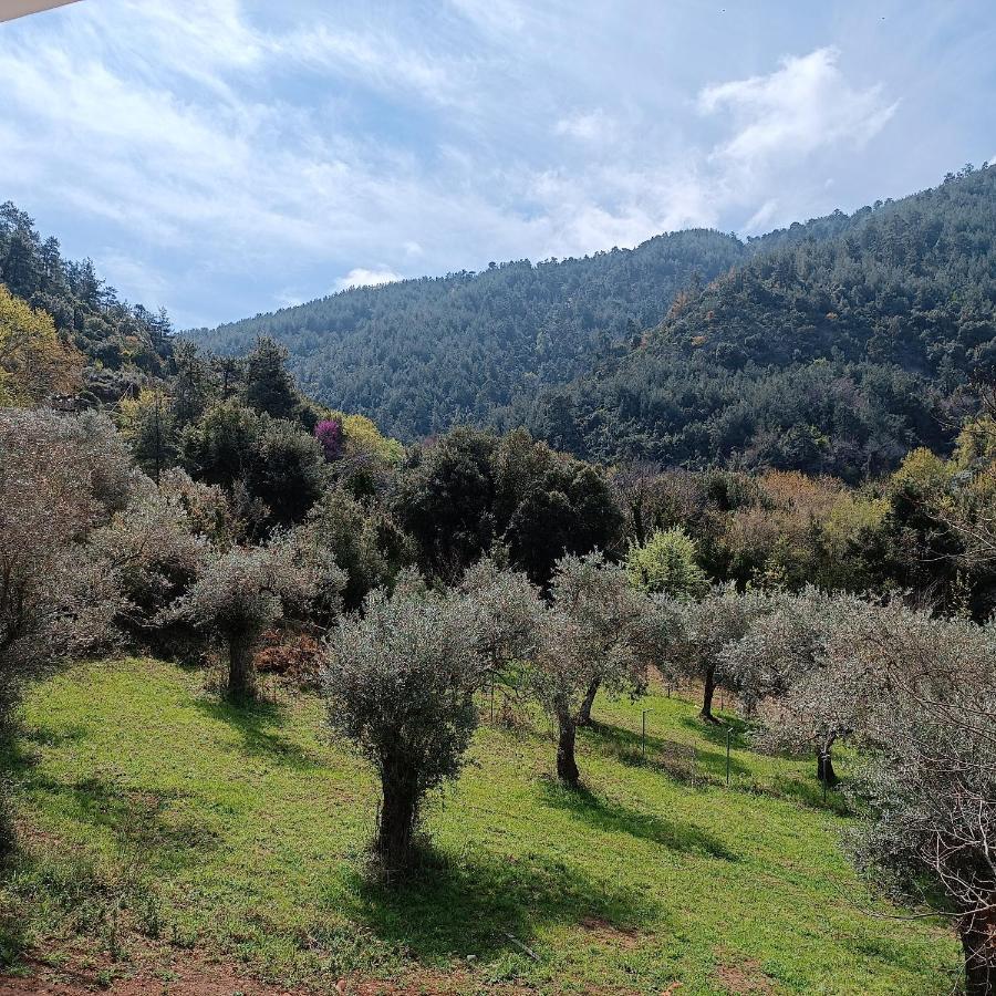 Evergreen Thassos Skala Potamia Exterior foto